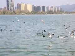 陕西汉中:把生态“颜值”转化为经济产...