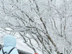 <strong>陕西秋假“首秀”亮点足！汉中多元体验...</strong>