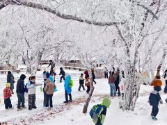 省文化和旅游厅部署2025年冬季文旅宣传推...