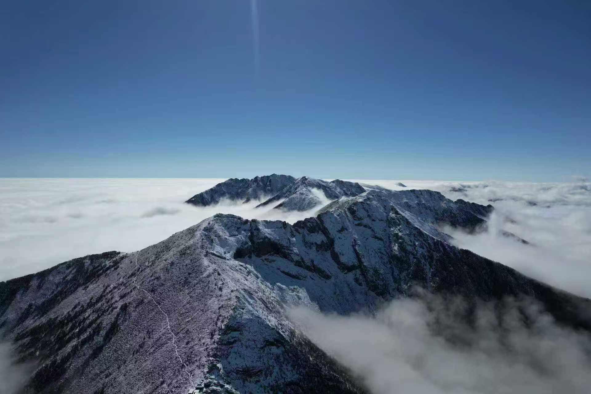 1769213249670496.jpg 6.jpg