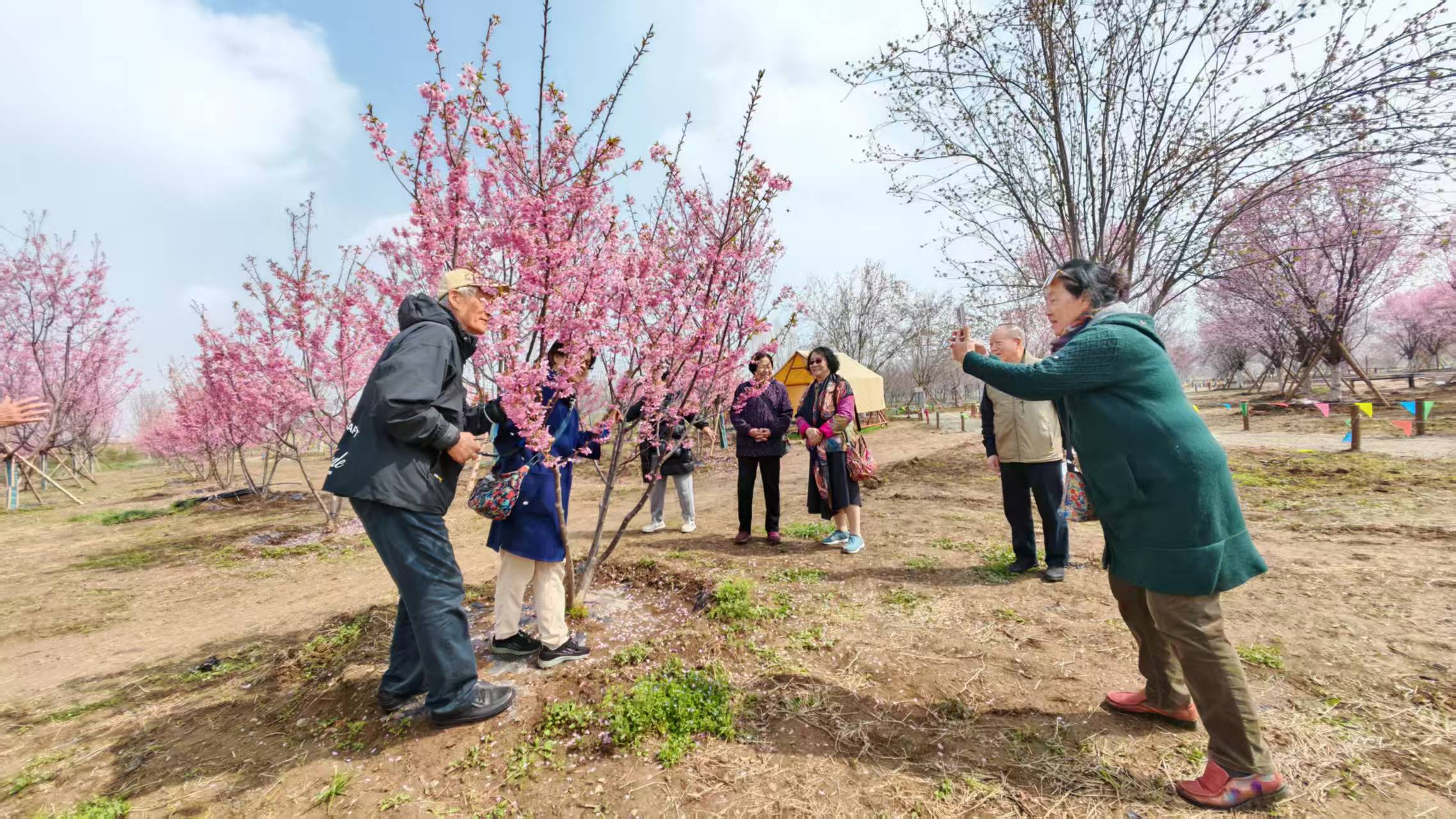 1774963521410460.jpg 4.jpg