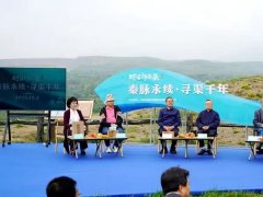 专家学者齐聚郑国渠首遗址 多维解码千年...