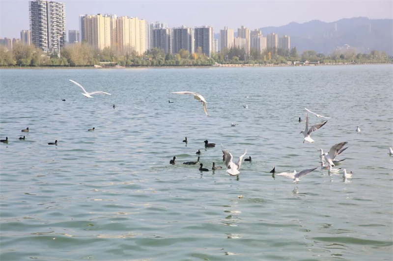 陕西汉中：把生态“颜值”转化为经济产值