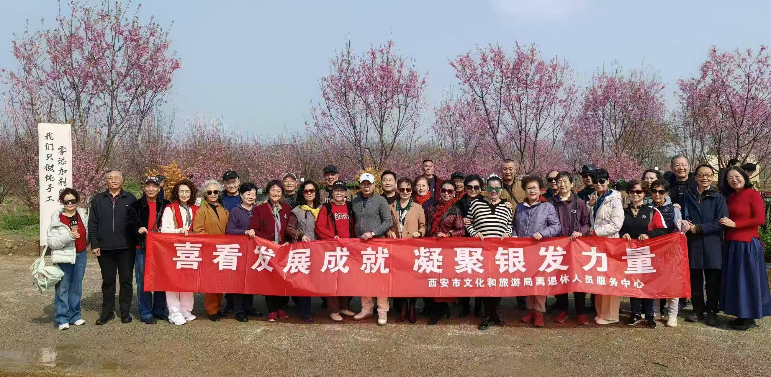 喜看西安发展新貌 凝聚银发桑榆力量