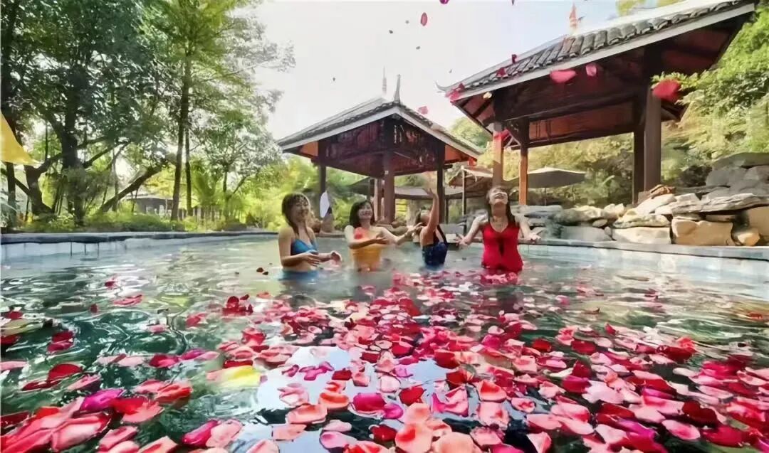 五一独家补贴｜1元游西安近郊100亩玫瑰园，每日限量...